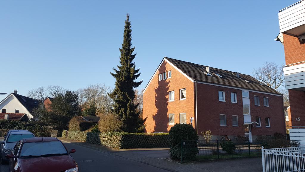 Apartmán Munstersdachstubchen Pokoj fotografie
